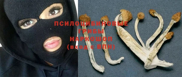 гашиш Абаза